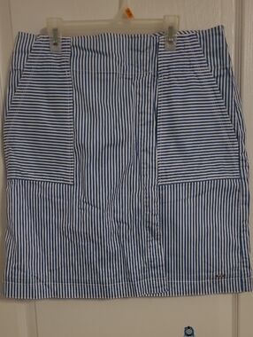 Tommy Hilfiger Blue and White Striped Skirt